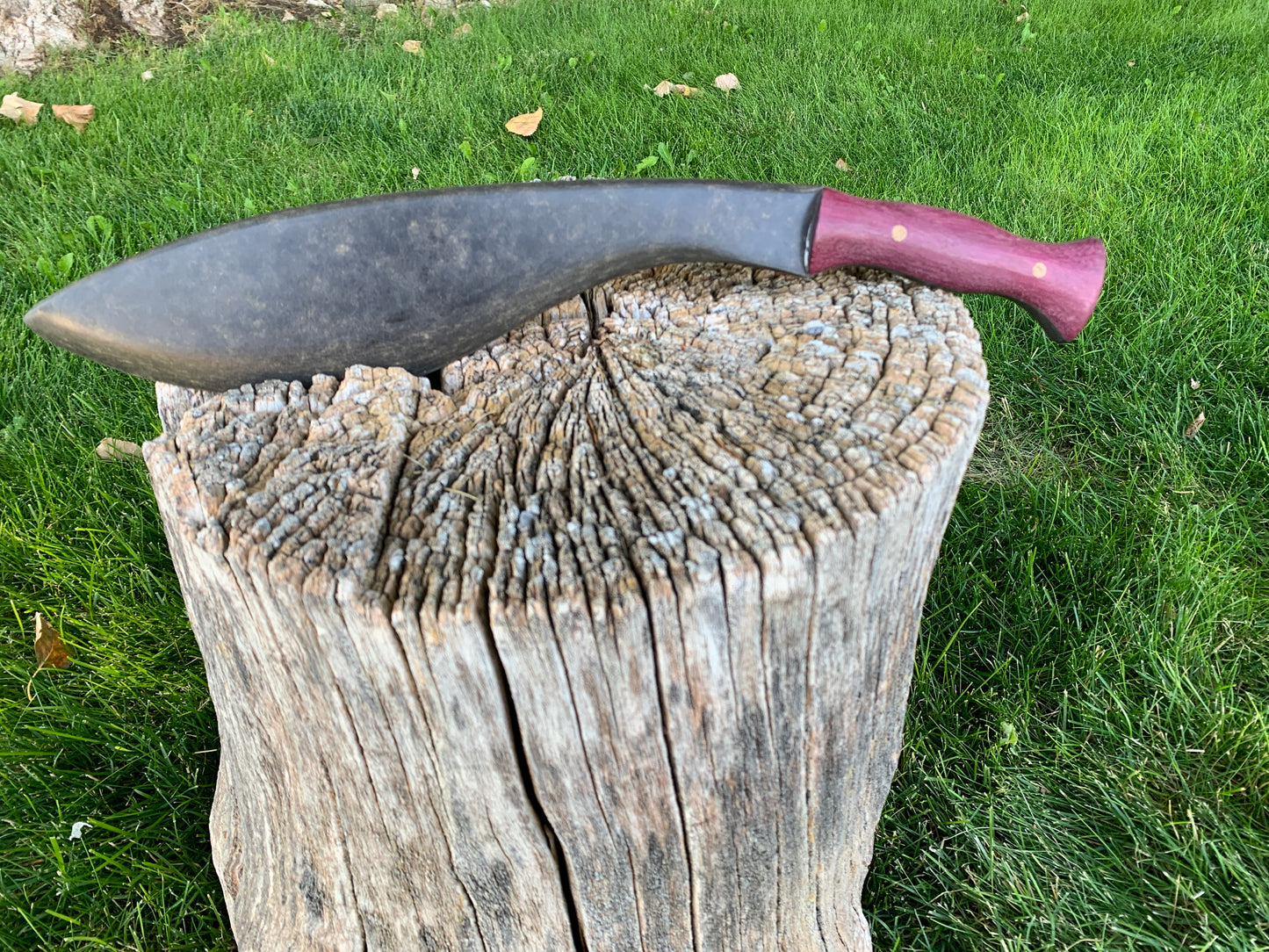 Training Kukri - Assorted