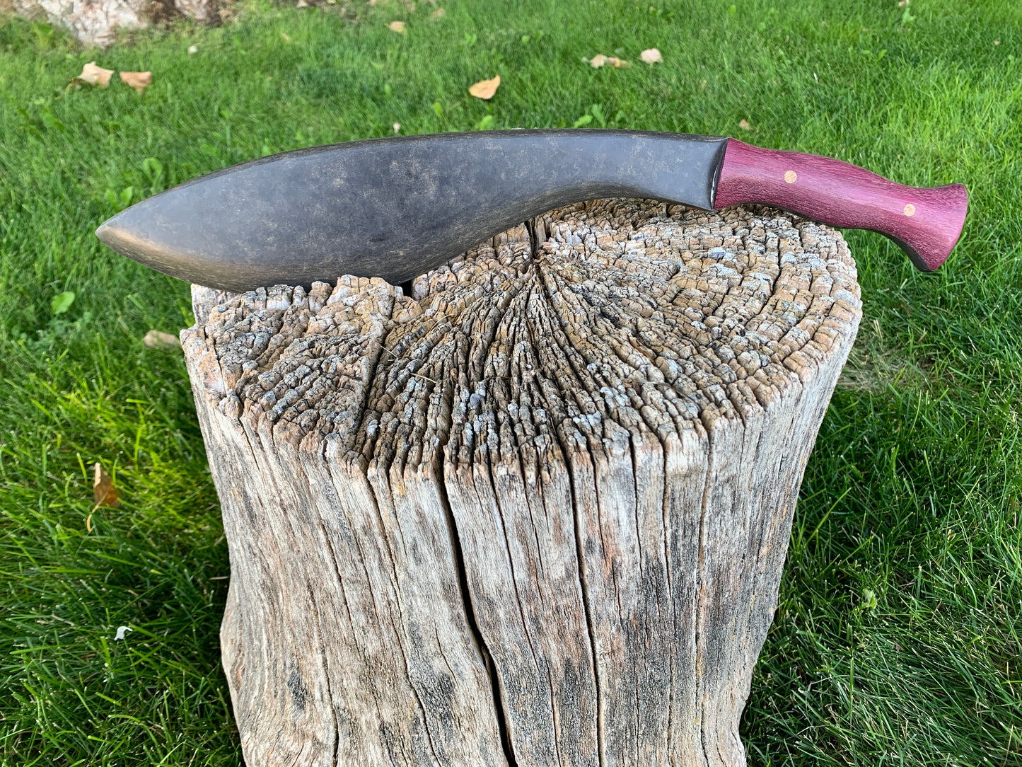 Training Kukri - Assorted